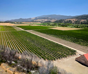 Santa Barbara Construction